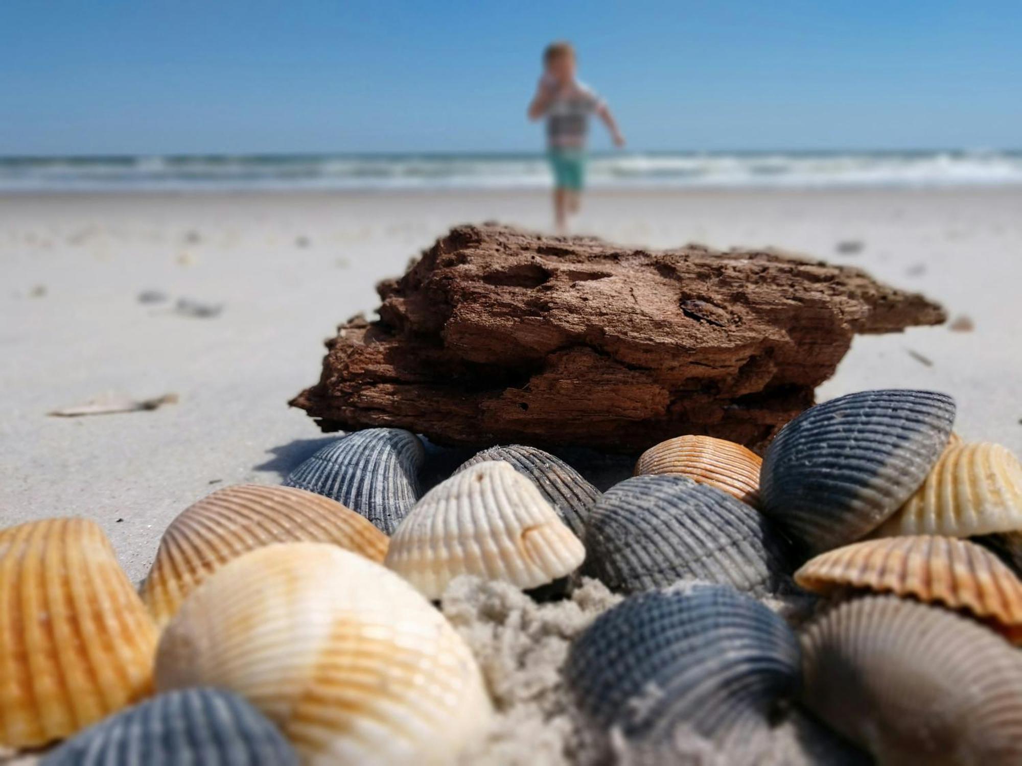 Ocean Sands Beach（成人专用）4*St.Augustine